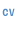 Curriculum Vitea and other information